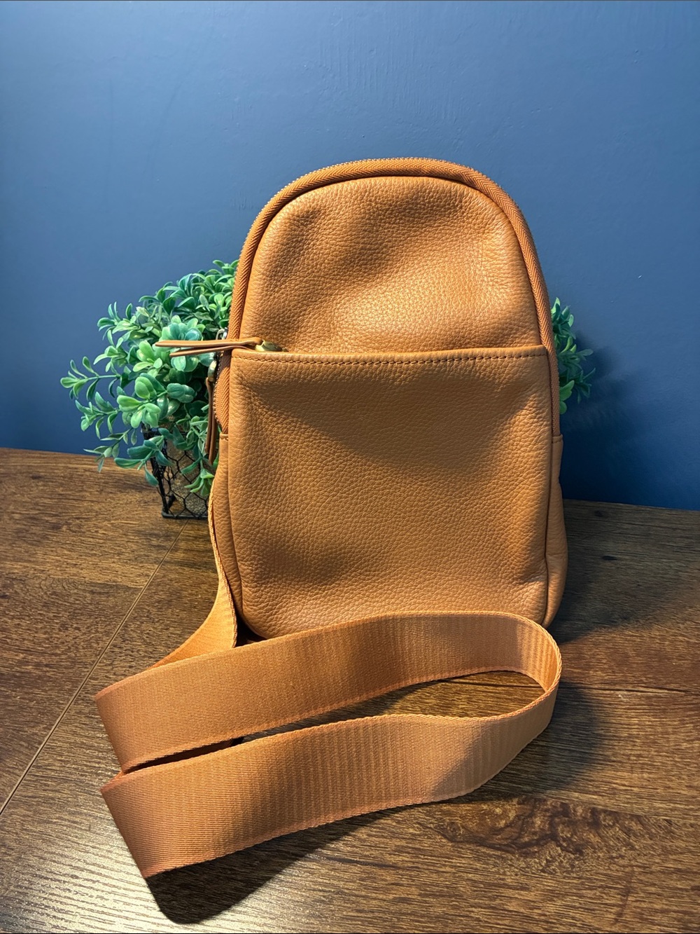 HOBO International Crossbody Sling Bag